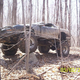 Illustration for article titled For $4,000, Don’t Get Bogged Down.